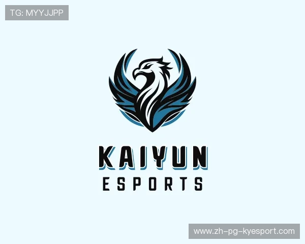 解读开云电竞服务